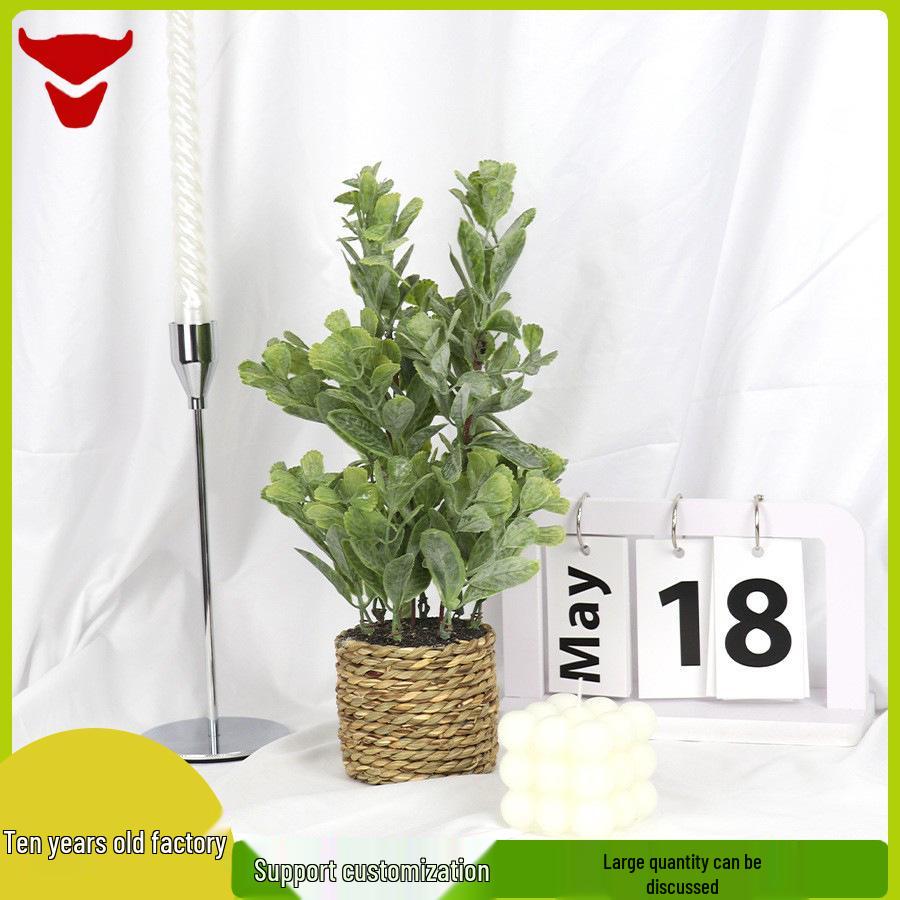 Eucalyptus Artificial Plant Arrangement for Home or Office Decor FT20
