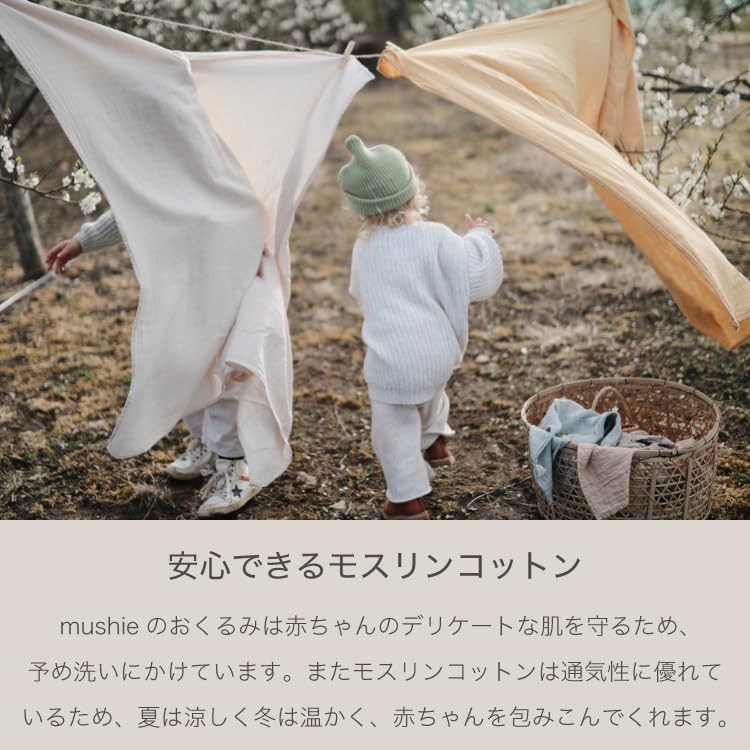 Swaddle Dinosaur Baby [Mushie] MSE_SW