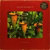 LP Пластинка РАЗНЫЕ ИСПОЛНИТЕЛИ - Искусственный Интеллект II WARPLP23 Warp Records 1994 UK Танцевальная и Электронная Б/У