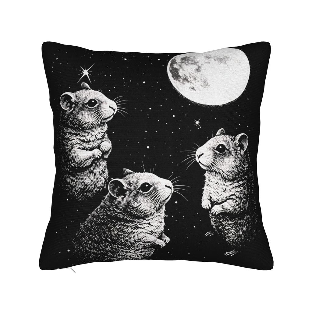 Hamster Faded Funny s Style Square Pillow Cases Cushion Cover Fashion Zippered Decorative Pillowcase for Home cm
