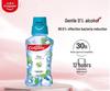 Płyn do płukania ust miętowy 250 ml