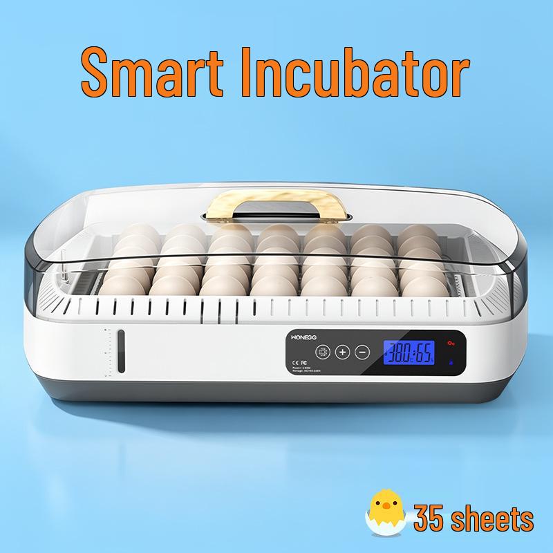 Smart Mini Egg Incubator for Parrots and Budgies: Automatic Pet Hatchery Equipment