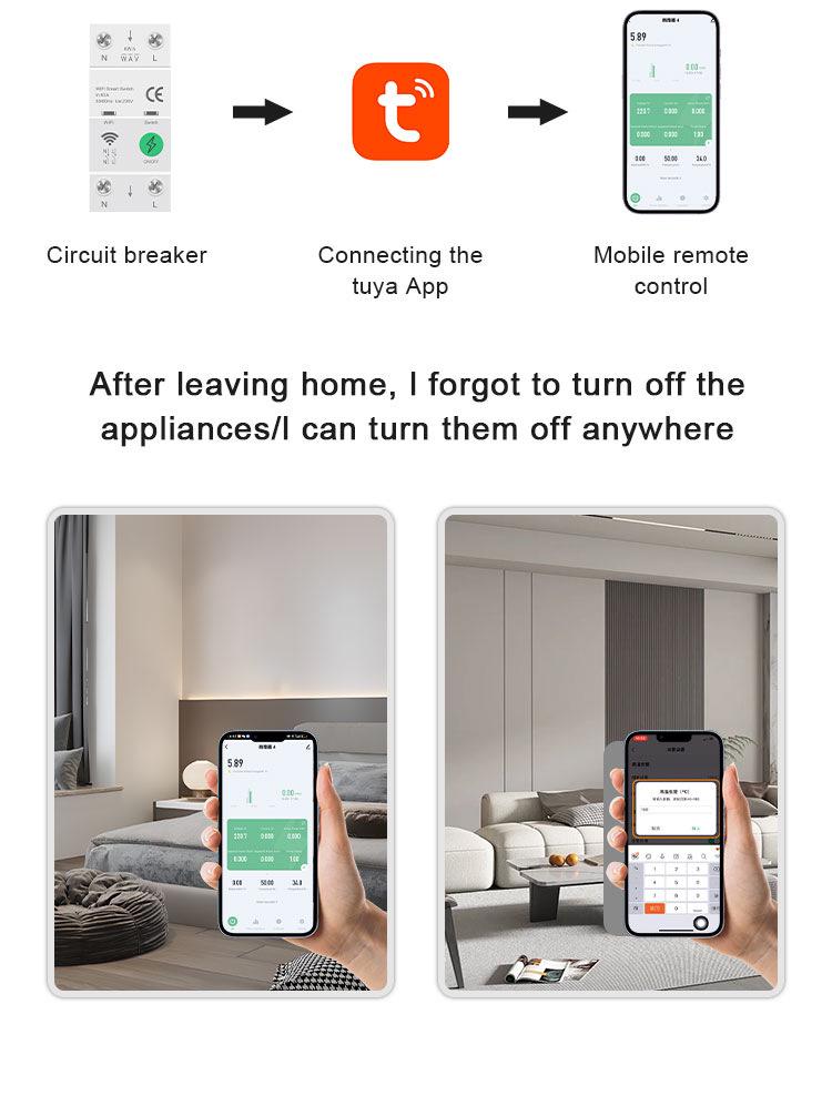 Smart WiFi Mobile Remote 2P Circuit Breaker Timer Switch
