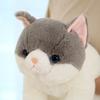 50cm Size Imitation Lying Cat Plush Toys Hairy Texture Realistic Cat Plush Toy  Birthday Gift
