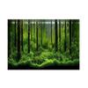 Forest Fish Tank Poster 61*30cm Underwater Forest Poster Beautiful Tank Backdrop Aquarium