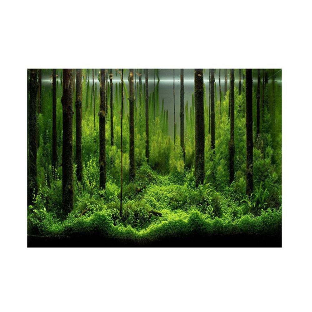 Forest Fish Tank Poster 61*30cm Underwater Forest Poster Beautiful Tank Backdrop  Aquarium
