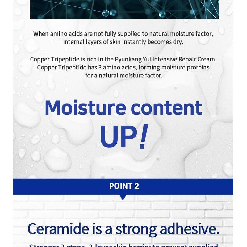 Pyunkang Yul - Intensive Repair Cream