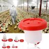 Chicken Feeder Waterer Baby Chick Drinker Feeder with Carrying Handle Capacity 2.5 L Chicken Water Feeder Pet Supplies
