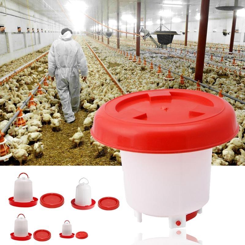 Chicken Feeder Waterer Baby Chick Drinker Feeder with Carrying Handle Capacity 2.5 L Chicken Water Feeder Pet Supplies