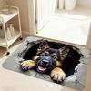 Great White Shark Printed Door Mat Vintage Wooden Board Stone Hole 2D Printed Carpet Living Room Bedroom Foyer Floor Mat