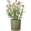 Pot de fleurs avec réserve rond - GARDEN ID - Plano - Ø 39 - 32 L - H 38 cm - Vert mousse