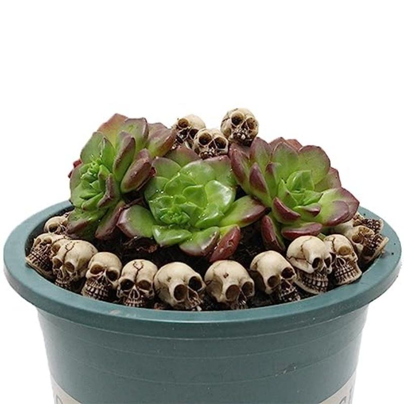 Skull statue miniature skull desktop decoration, Halloween miniature landscape figure, prank prop, haunted dollhouse accessory