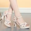 Women Thick Heeled Sandals Sexy High Heels Platform Sandals Women Open Toe Crystal Buckle Pumps Wedding Shoes