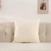 Plush Velvet Pillow Cover Premium Teddy Fleece Sofa Cushion Case Office Nap Pillow Seat Back Support Home Decor Throw Pillowcase