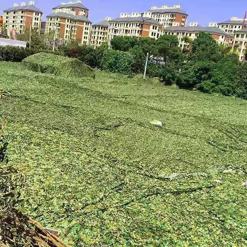 Jungle Camouflage Shade Net