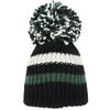 HARRY POTTER Unisex Adult Slytherin Bobble Beanie