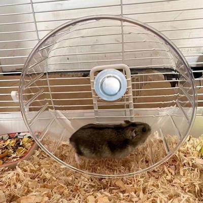 Transparent Floor-Standing Hamster Running Wheel with Stand - Non-Foot-Trapping, Large Size, Golden Silk Hanging Design.
