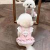 Pet dog clothes princess dress for small dogs like Teddy, Bichon, Pomeranian, Yorkshire, summer thin pet apparel