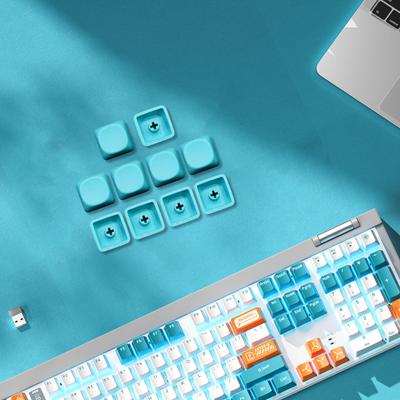 10 Stück PBT Tastenkappen MOA Profil 1U Leere Zusatztastenkappen für Mechanische Gaming-Tastaturen