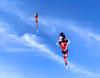 Large Chinese Style 3-Meter Koi Carp Kite with Long Tail - Easy to Fly in Light Breeze