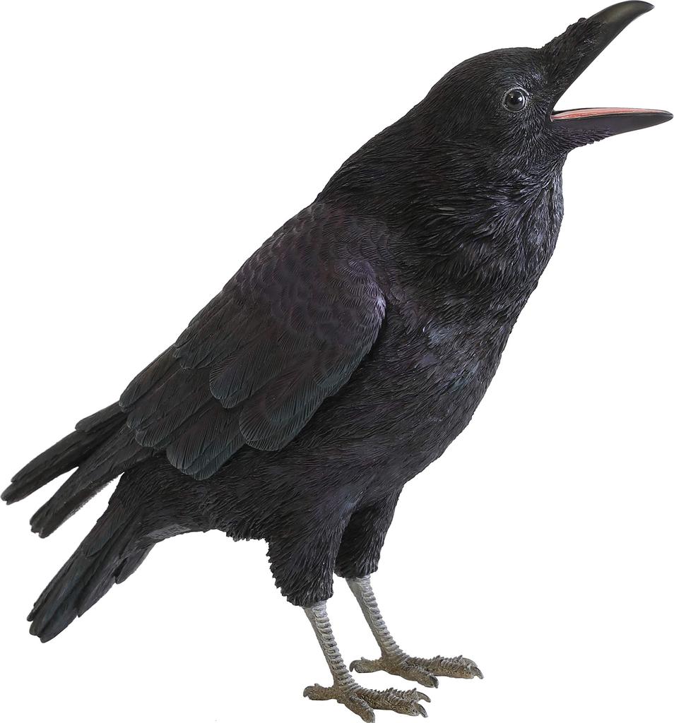 PET BANK DŽUNGLE CROW
