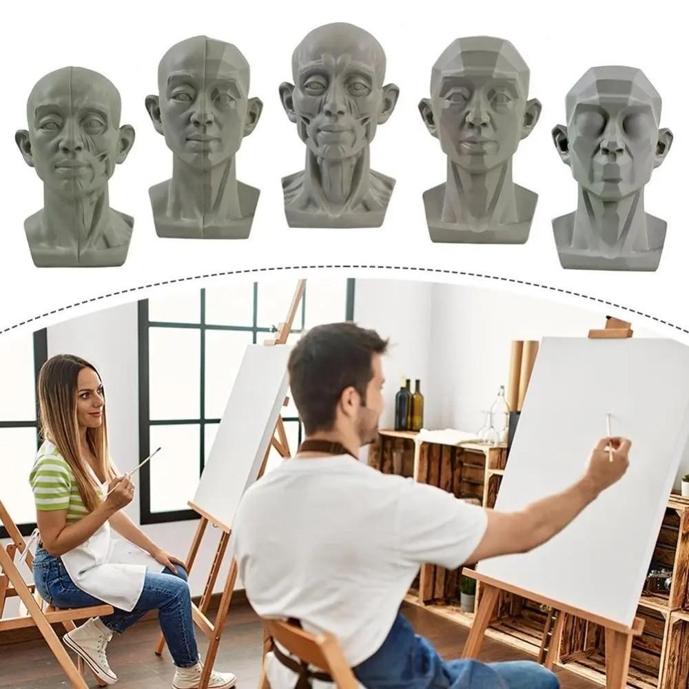 Still Life Ornament Planar Head Model Resin Skecthing Painting Sculpture  for Art Beginner