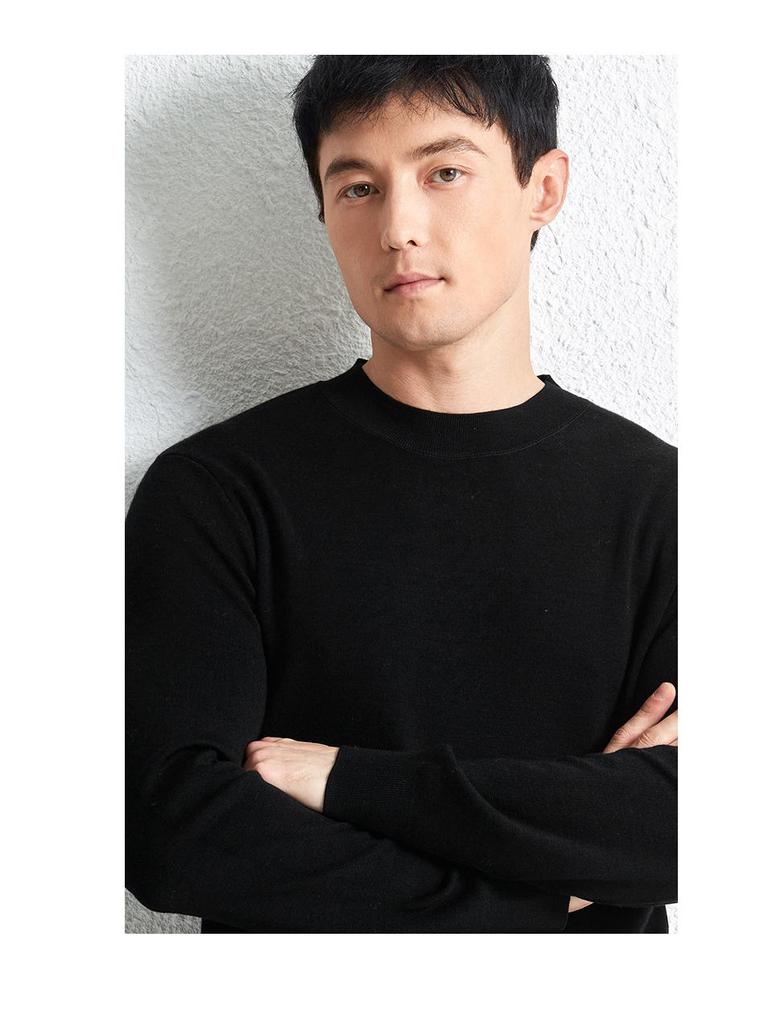 Winter Puyuan Herren Pullover 100% Wolle Halbhoher Kragen: High-End, Hautfreundlich, Leichter Luxus, Einfarbig, Warm und Bequem.