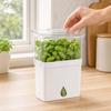 DYS Vegetable Crisper, Double-Layer Storage Extends Freshness Box, for Herbs And Vegetables Refrigerator Use