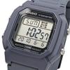 Casio Pánské standardní digitální hodinky W-800H-2AV modrošedé, mezinárodní model [paralelní import]