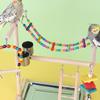 Lovebird Parrots Cage Perch Stand Bridge Colorful Swing Climbing Wooden Training Ladder Toy for Bird