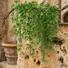 Plastic Realistic Vine Plants Anti-Fade Simulation Greenery Fake Wall Hanging Vine  Wedding Party