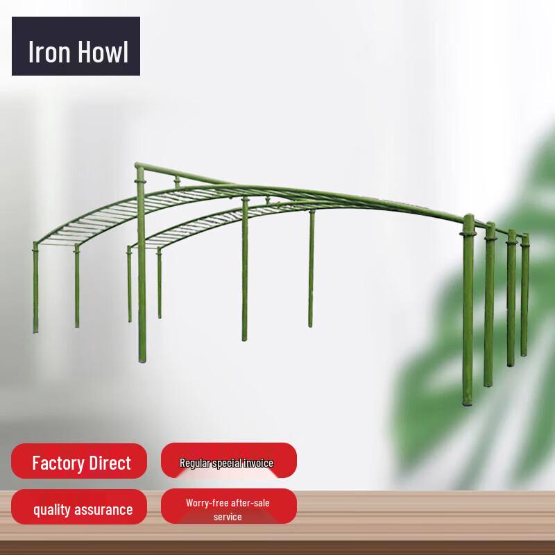 Curved Double Row Stall Bars Training System