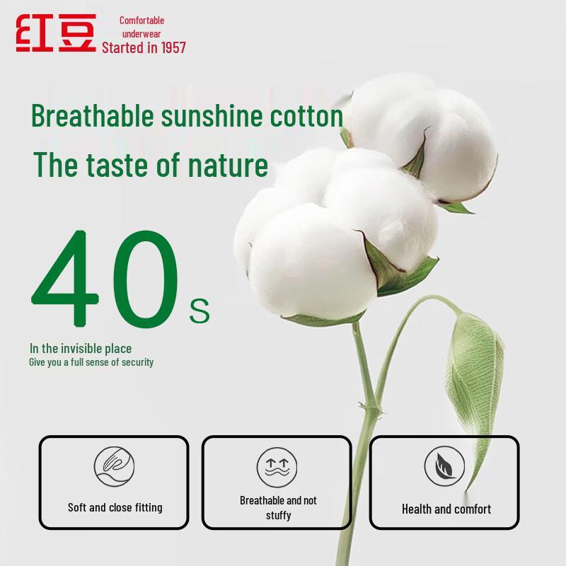 Hongdou Women's 40S Cloud-Feel Soft Cotton Antibacterial Panties
