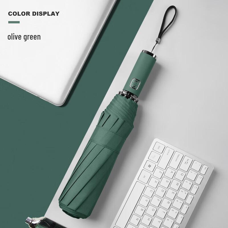 Xu Qing 10-Rib Automatic Folding Umbrella