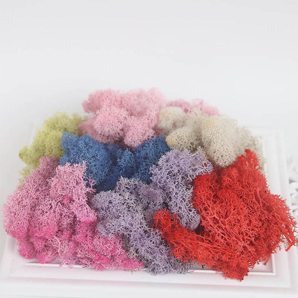 Decor Christmas Wedding Decoration Artificial Plant Reindeer Moss Micro Landscape Eternal Life Moss