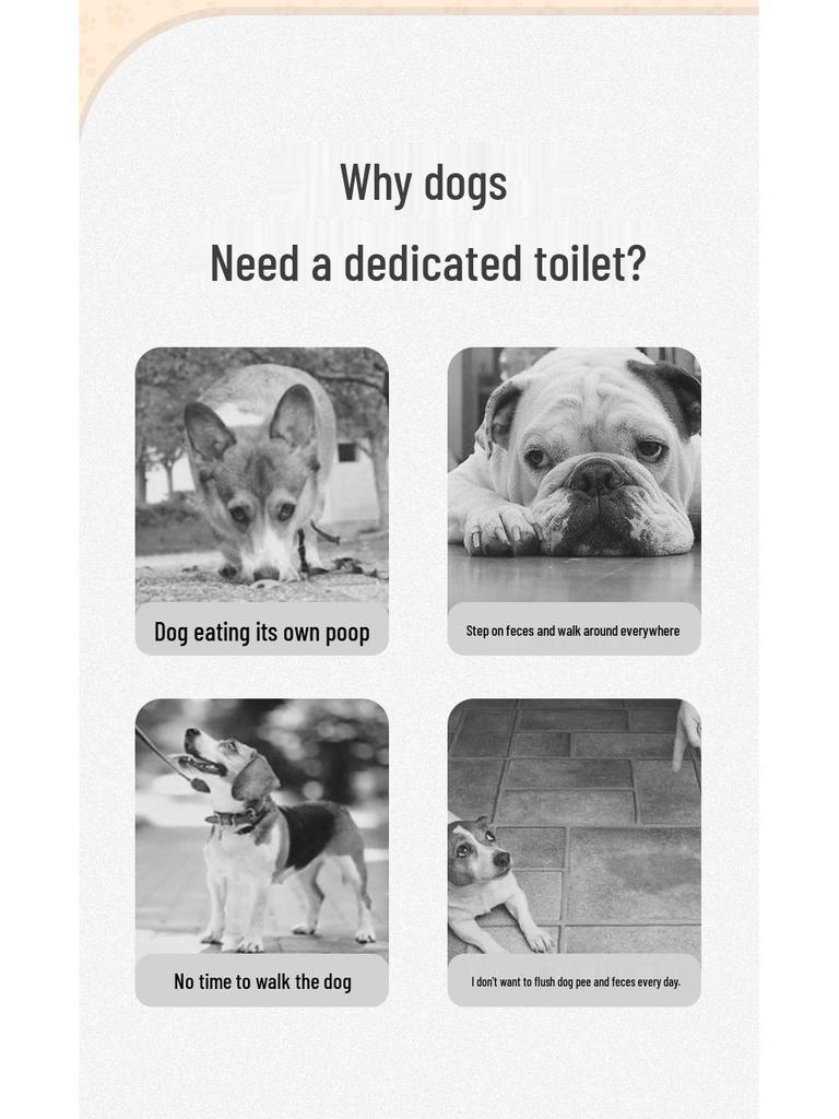 Stainless Steel Large Dog Toilet with Anti-Stomp Mesh for All Dog Sizes