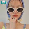 2022 Retro Small Frame Sunglasses: Unisex European & American Style, Fashionable UV-Protection for Petite Faces