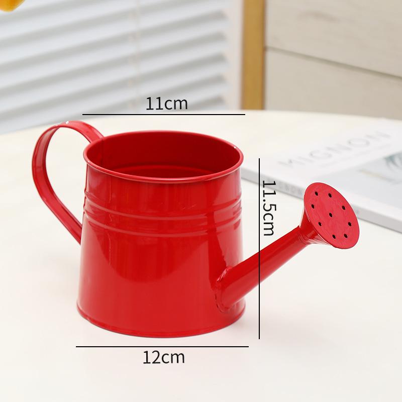 Retro Eisen Sukkulenten Gießkanne: Ausgehöhltes, Distressed-Design für Haushalt & Blumengebrauch