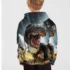 Boys Dinosaur Hoodie Long Sleeve Fall Active Polyester Kids Regular Fit