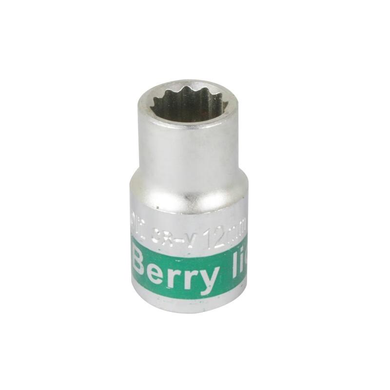 Berry Lion 1/2-inch Drive 12-Point Socket