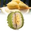 Durian Removable Plush Toy Dolls Soft Room Decoration Ornament Gifts Children
