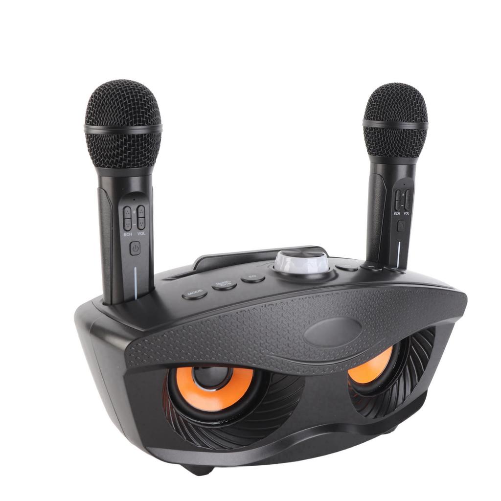 Bluetooth Speaker Home KTV Karaoke Bluetooth Speaker with Two Microphone (Black)