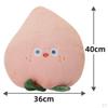 Pillow Toy Gift for Kids Girls and Boys, Stuffed Decor