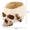 1pc Resin Skull Head Design Flower Pot Planter Container Decoration