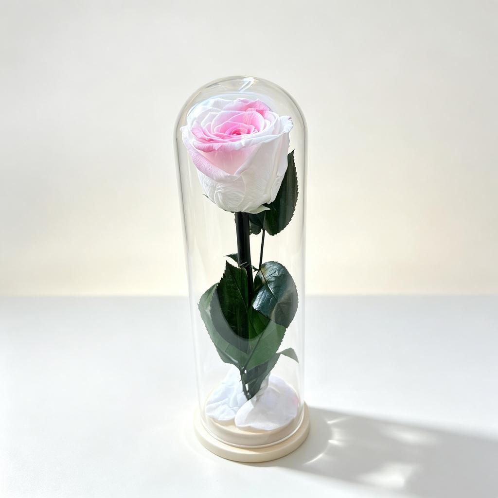 Fiore Immortale Rosa Il Piccolo Principe Cupola di Vetro Festa della Mamma San Valentino Ramo Singolo Rosa Immortale