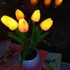 Dimmbares LED-Tulpen-Nachtlicht Blumenstrauß für Schlafzimmer-Dekoration