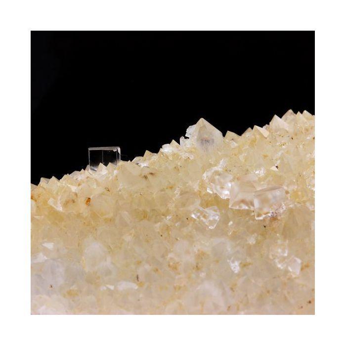 Fluorite + Quartz 255.5 carats