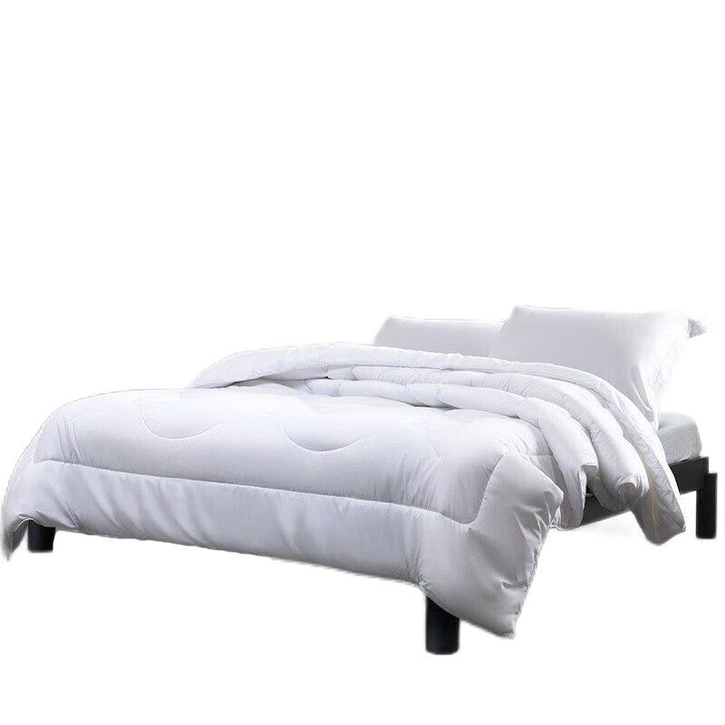 

Mercury Home Textiles Yilan Negative Ion Antibacterial Quilt