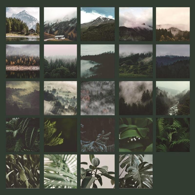 46 Sheets Per Box Green Jungle Stickers Label Sticker Diary Decoration Diy Album Aesthetic Stickers Student Stationery Sticker