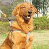 Un set di colorati pettorali per animali domestici con guinzaglio e guinzaglio per cani per uso interno ed esterno